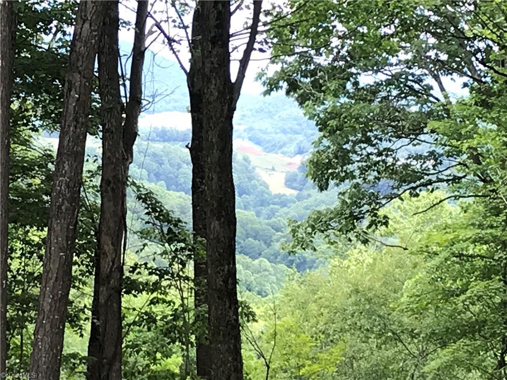 Lot 64 Poplar Forest Drive Boone, NC 28607 - Photo 19 of 23