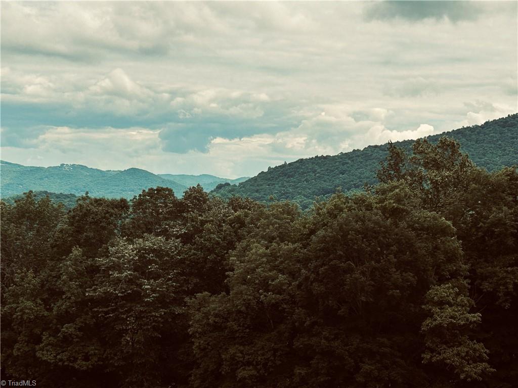 Lot 64 Poplar Forest Drive Boone, NC 28607 - Photo 20 of 23