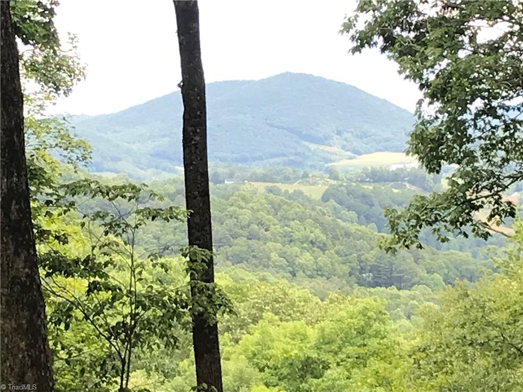 Lot 64 Poplar Forest Drive Boone, NC 28607 - Photo 2 of 23 Views both in front and back of your home site