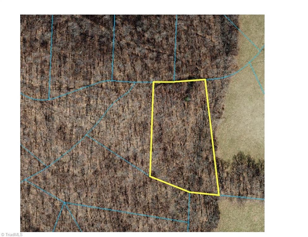 Lot 64 Poplar Forest Drive Boone, NC 28607 - Photo 23 of 23 GIS Map