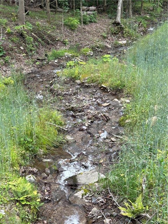 Lot 64 Poplar Forest Drive Boone, NC 28607 - Photo 9 of 23