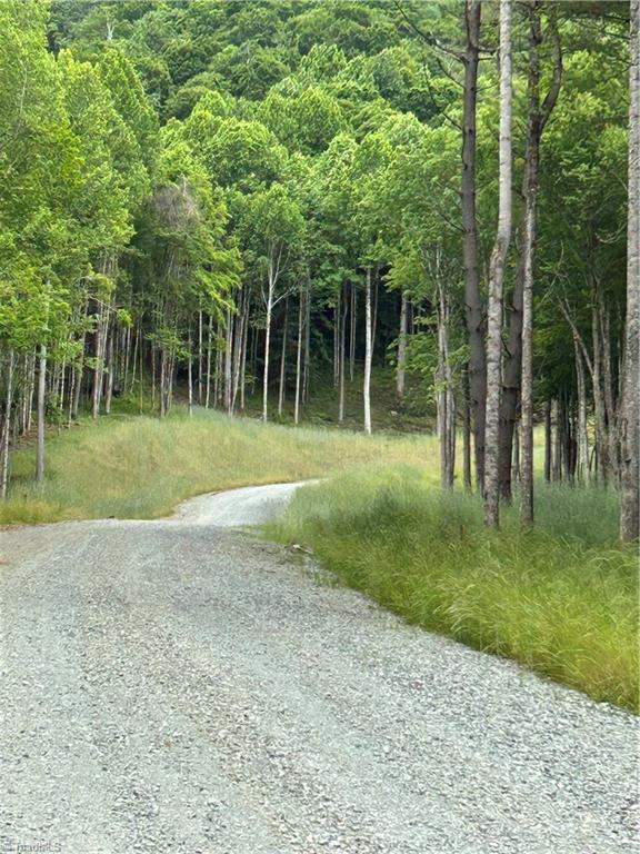 Lot 64 Poplar Forest Drive Boone, NC 28607 - Photo 10 of 23 Roads will be paved