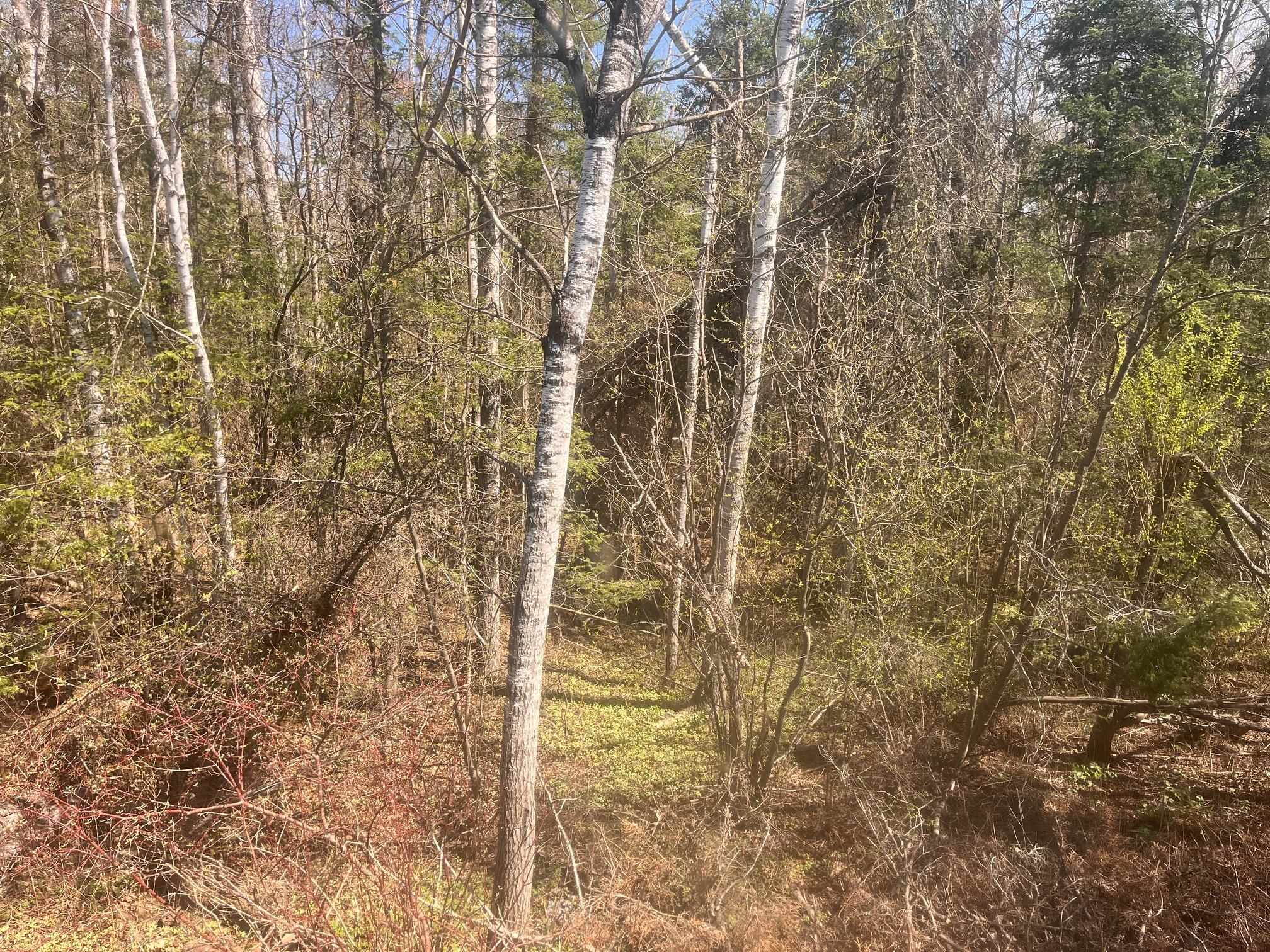 5346 Lester River Road Duluth, MN 55804 - Photo 29 of 31