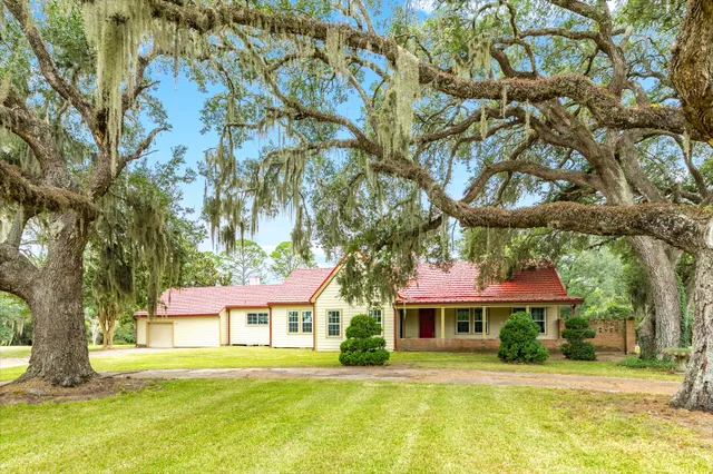 a view of yard with trees
