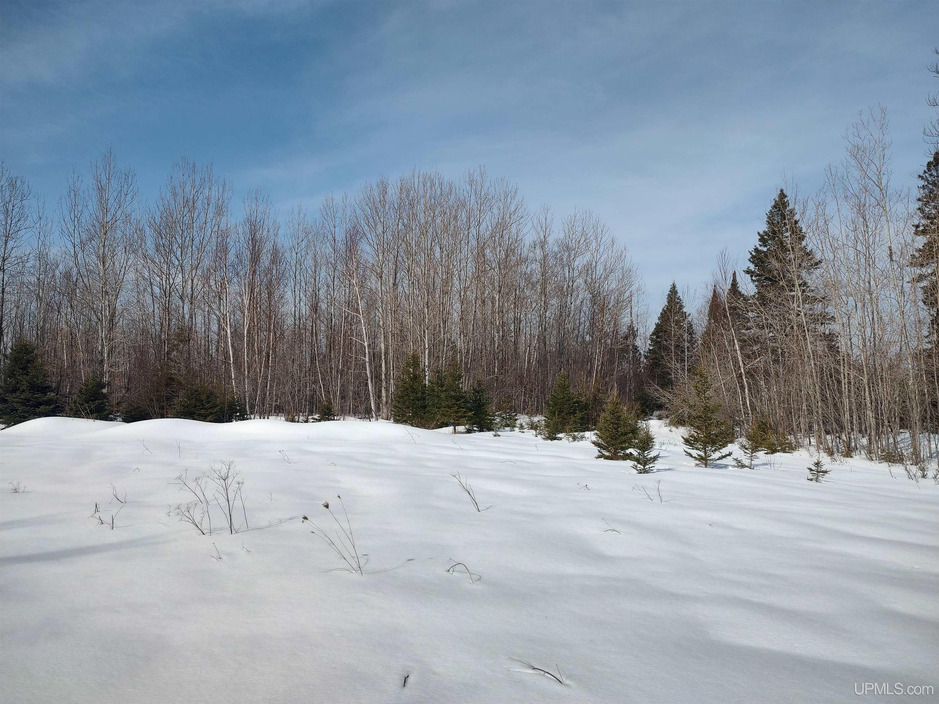 30-acres Parkington Road Gulliver, MI 49840 - Photo 25 of 31