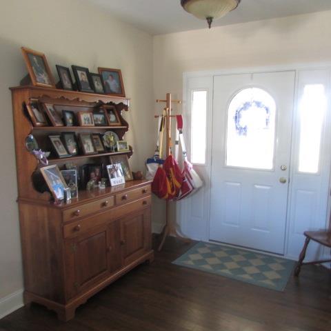 240 Rabbit Trail Road Leoma, TN 38468 - Photo 6 of 20