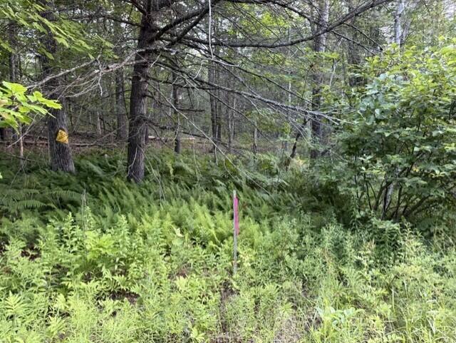 110 Calderwood Road Washington, ME 04574 - Photo 1 of 7 8dbd3cc3-92ad-439b-b2bd-268e69b071f7
