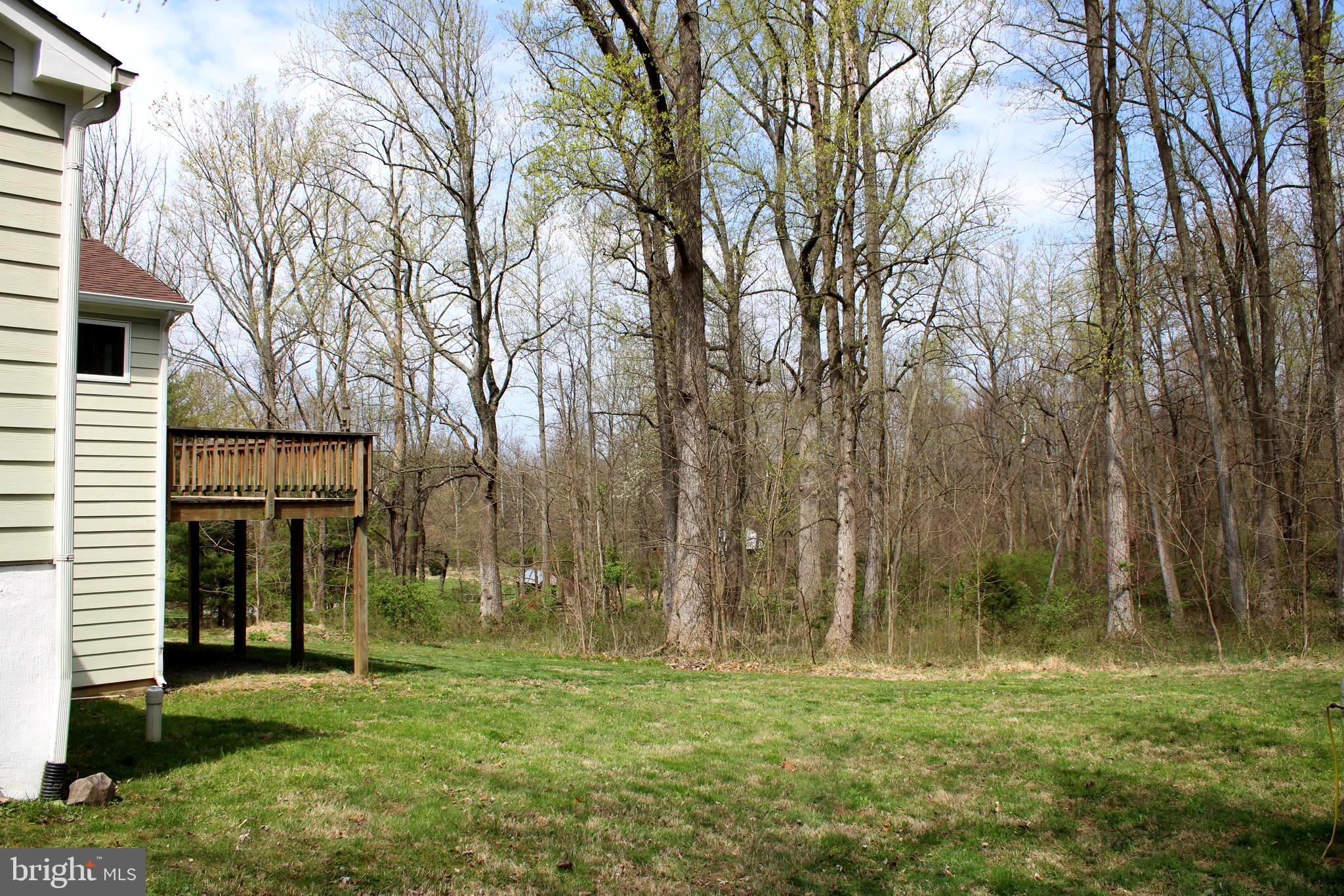 653 Pine Grove Road Bluemont, VA 20135 - Photo 23 of 30