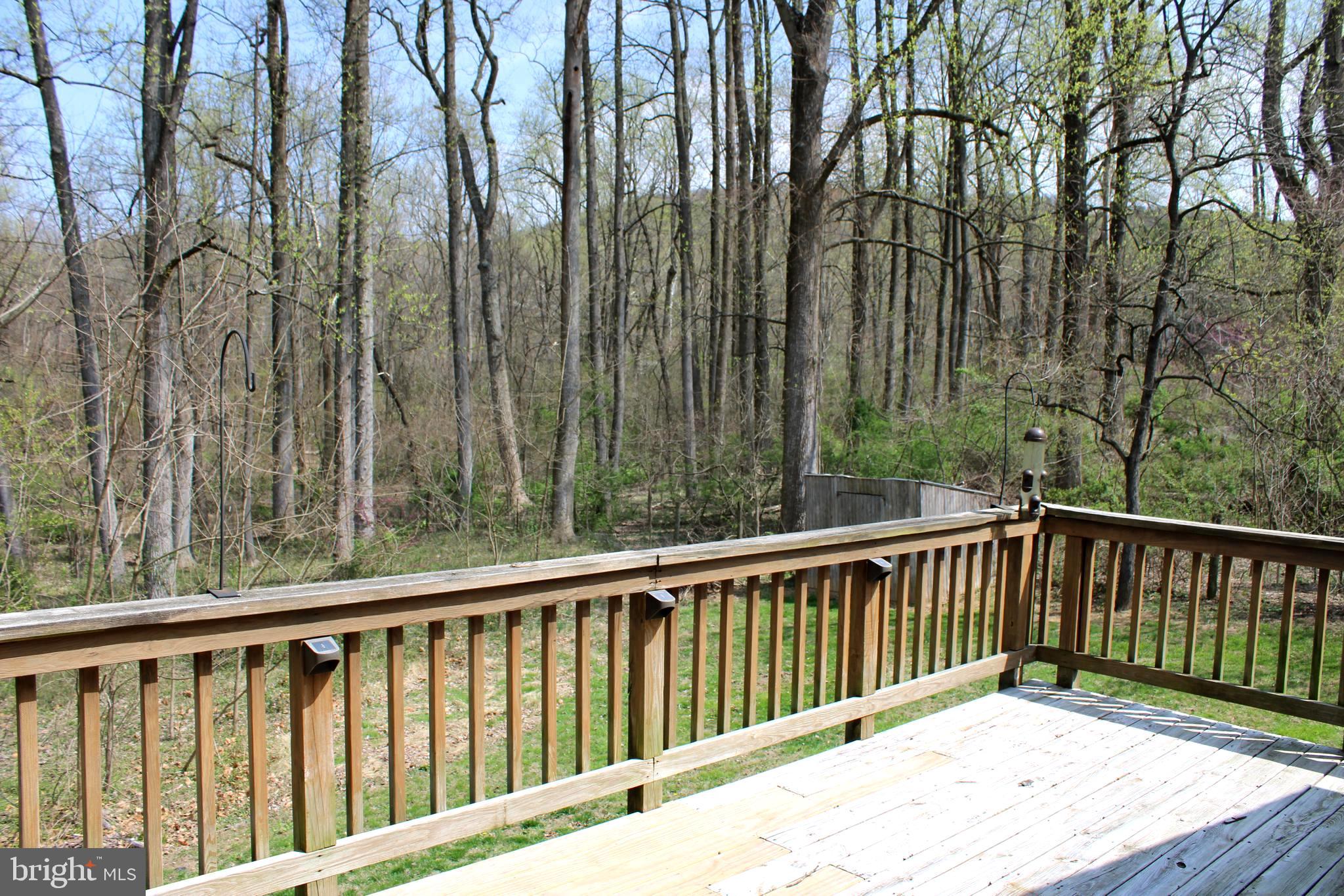 653 Pine Grove Road Bluemont, VA 20135 - Photo 24 of 30