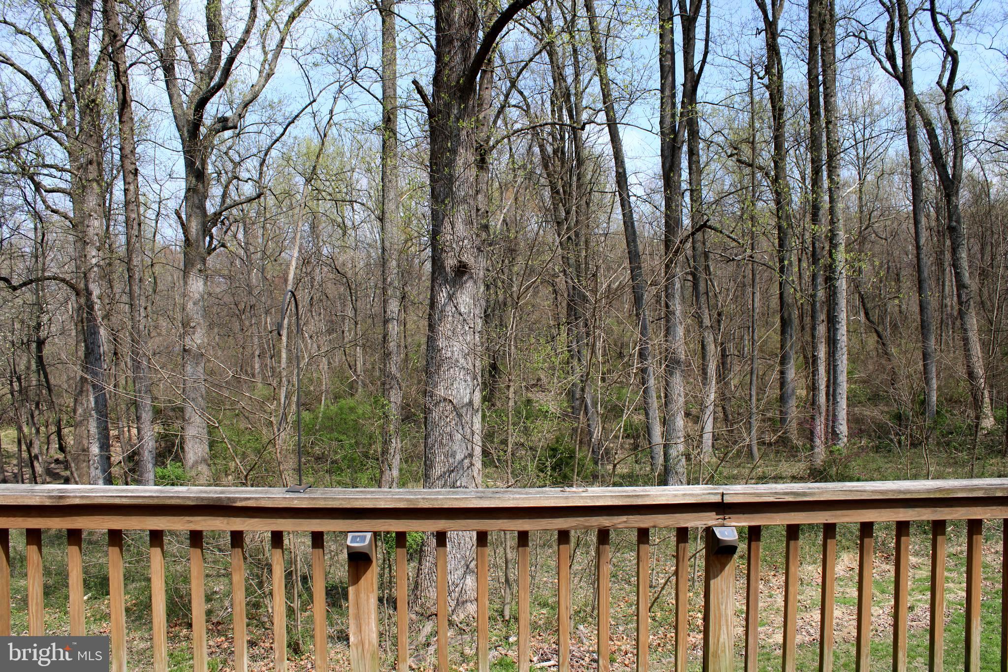 653 Pine Grove Road Bluemont, VA 20135 - Photo 25 of 30
