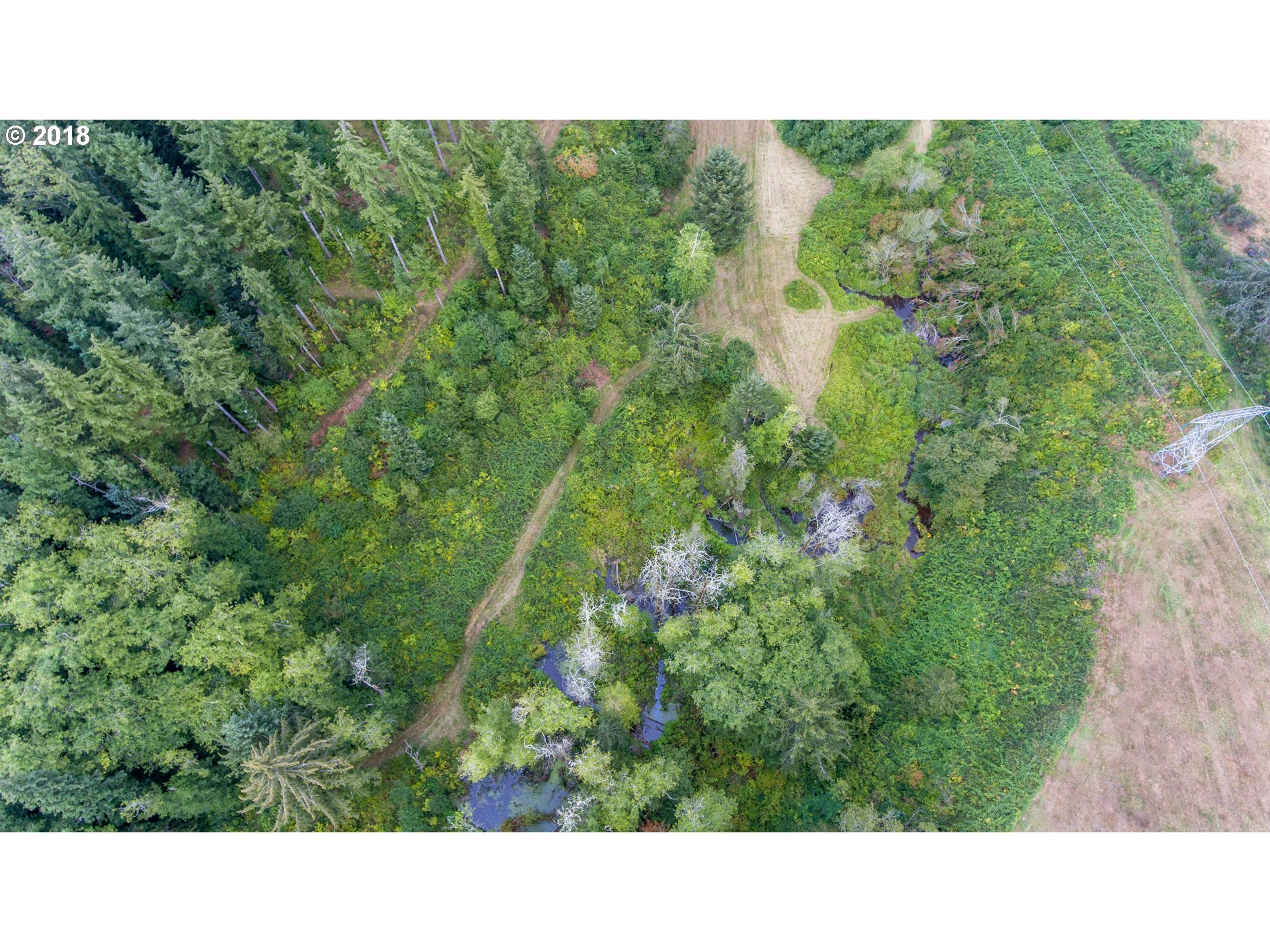 2300 Conroy Road, Unit 2300 Astoria, OR 97103 - Photo 8 of 22 Gallery Image 8