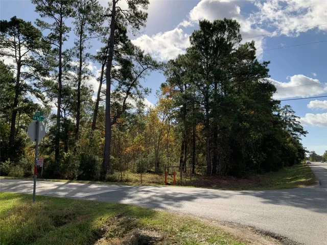 $10,018 | 166 Otter Road, Anahuac, TX 77514