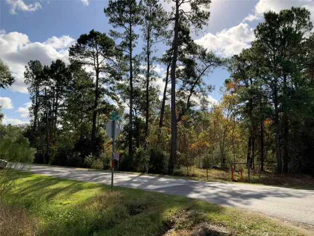 $10,018 | 166 Otter Road, Anahuac, TX 77514