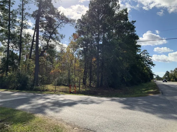 a view of a field with trees in the background