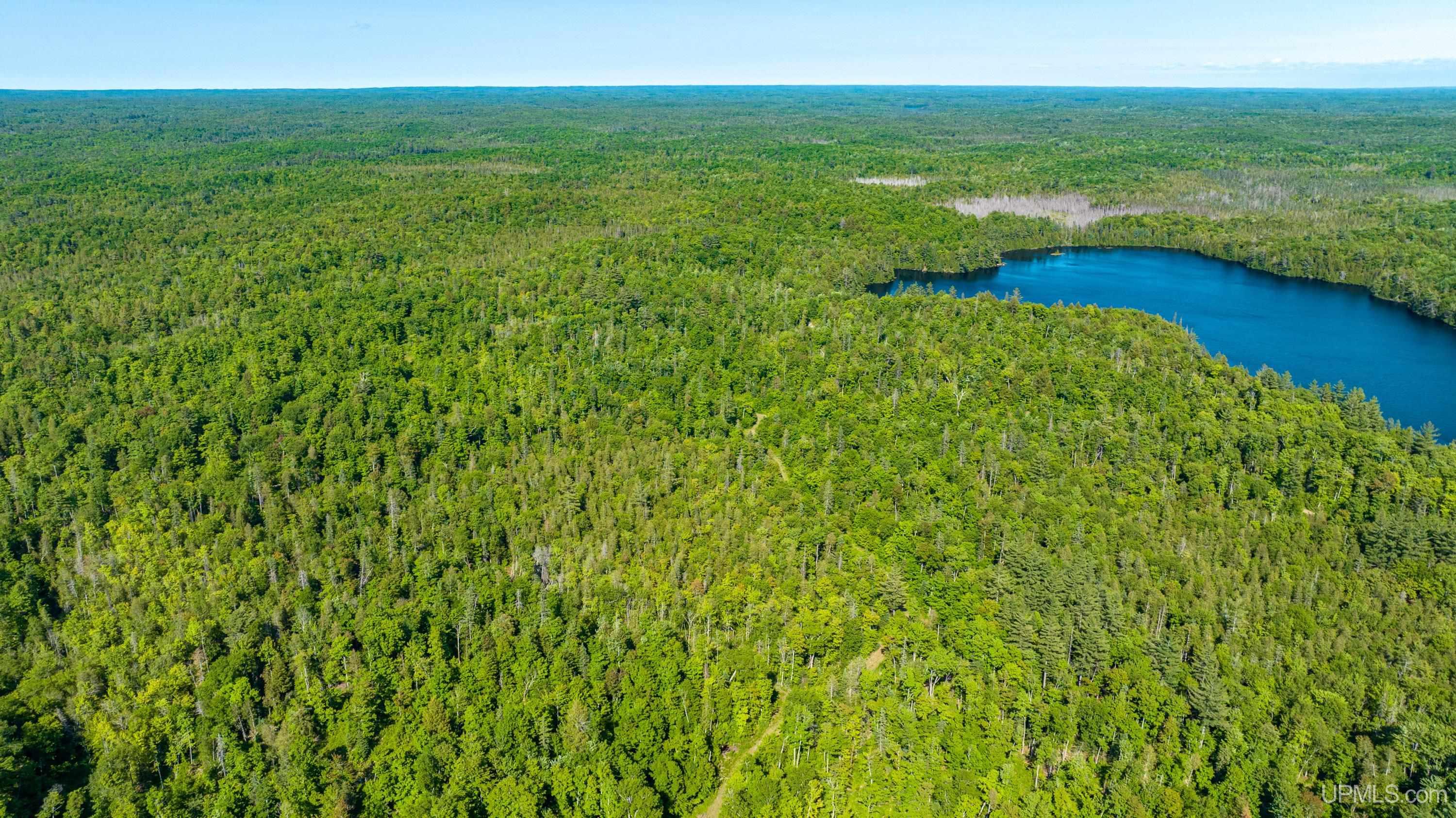 Tbd Tbd Dommer Lake Road Michigamme, MI 49861 - Photo 16 of 25