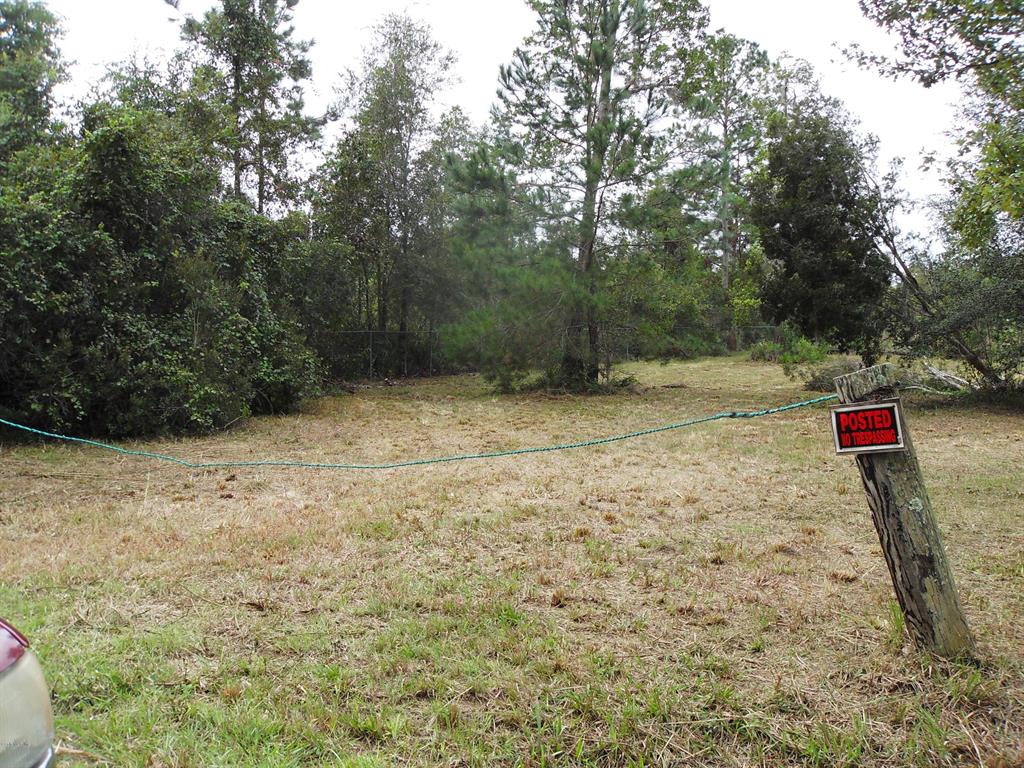 0 Northeast 118th Ave Road Silver Springs, FL 34488 - Photo 1 of 1 SDC16374