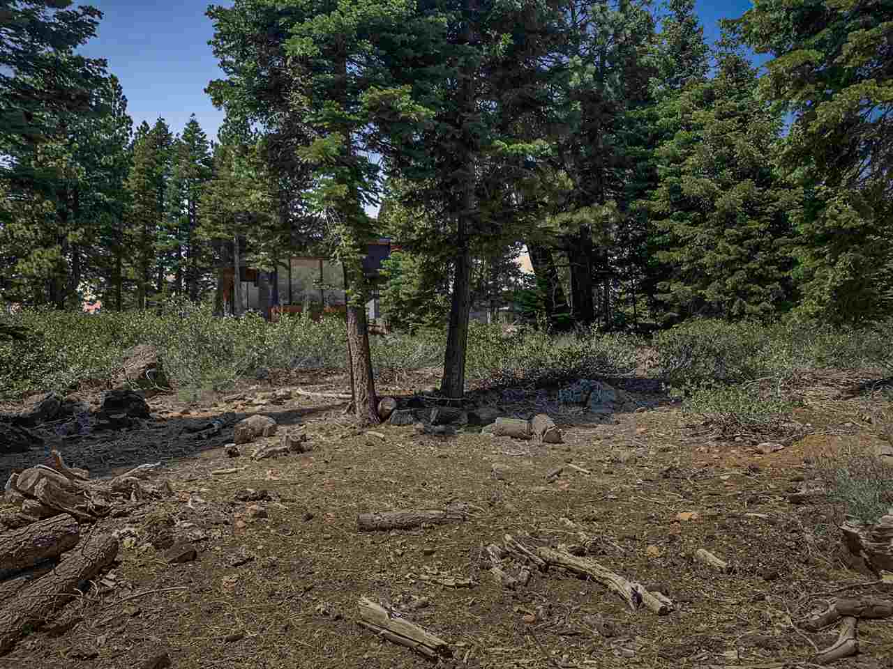 9304 Nine Bark Road Truckee, CA 96161 - Photo 4 of 21