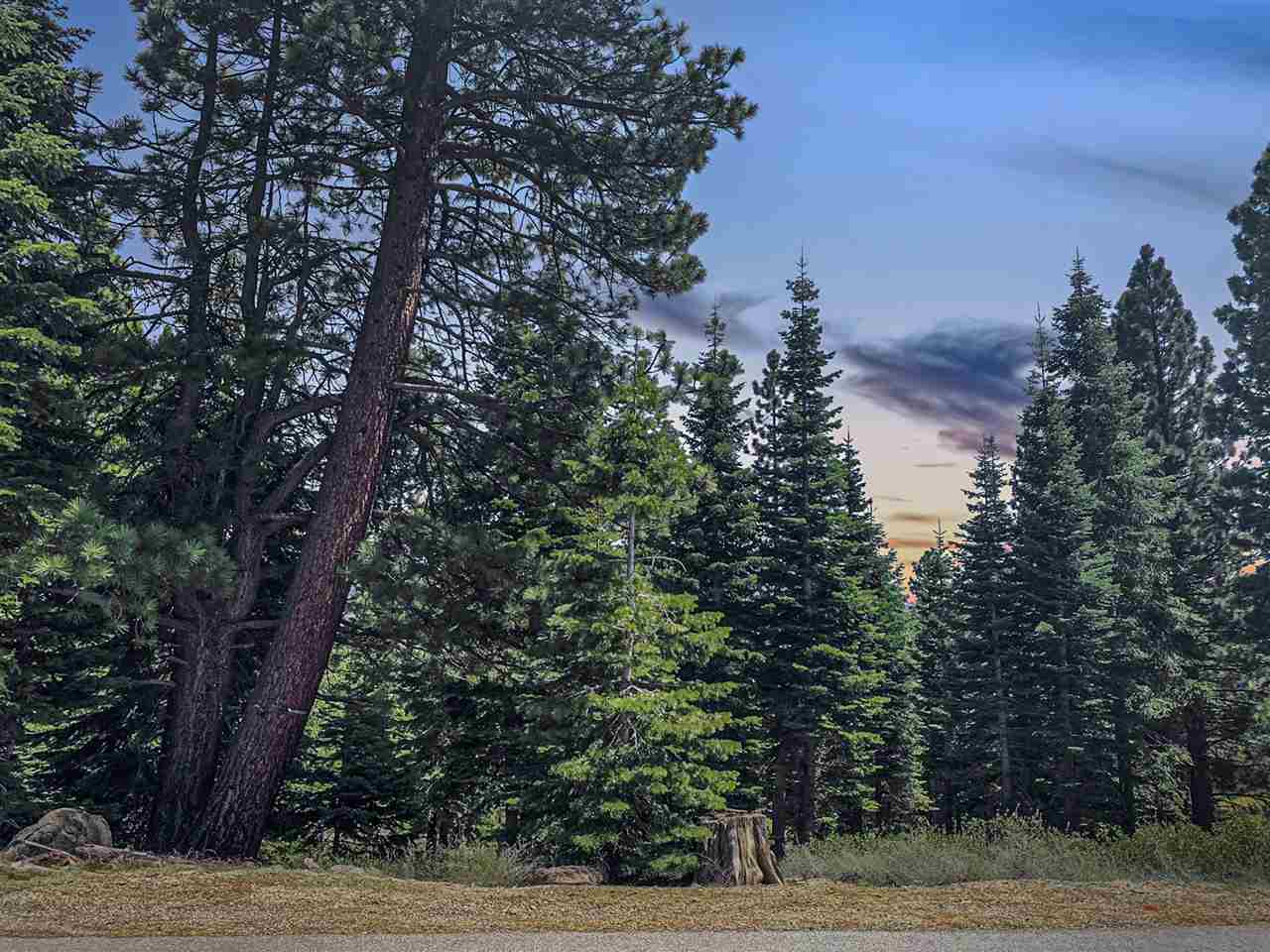 9304 Nine Bark Road Truckee, CA 96161 - Photo 6 of 21