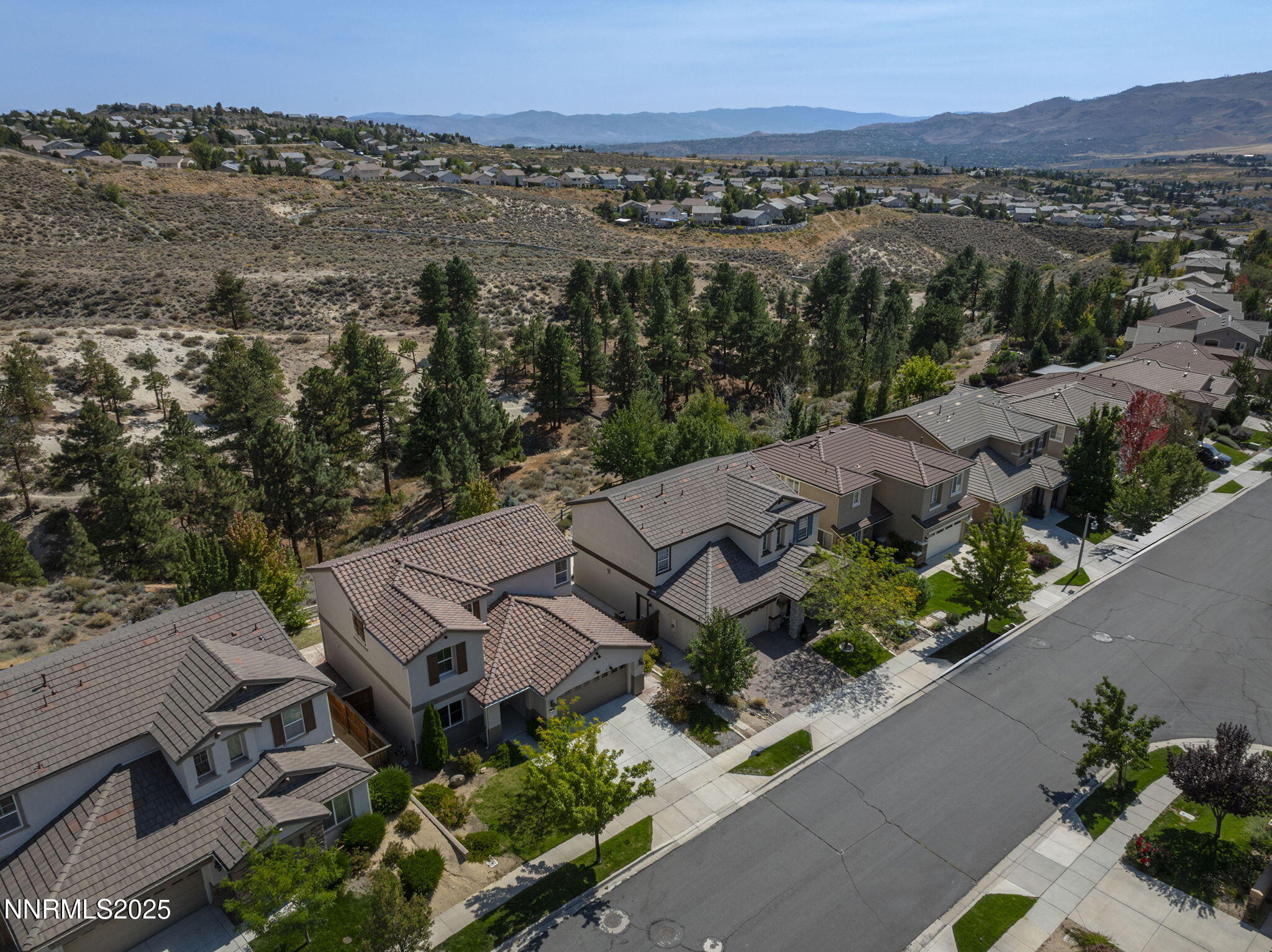 2650 Peavine Creek Road Reno, NV 89523 - Photo 4 of 35 4-web-or-mls-DJI_0316