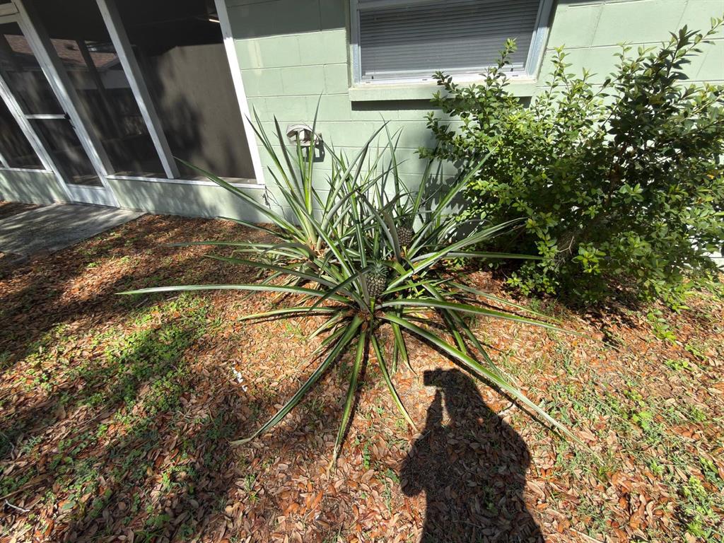 2209 Boxwood Way Brandon, FL 33511 - Photo 25 of 25