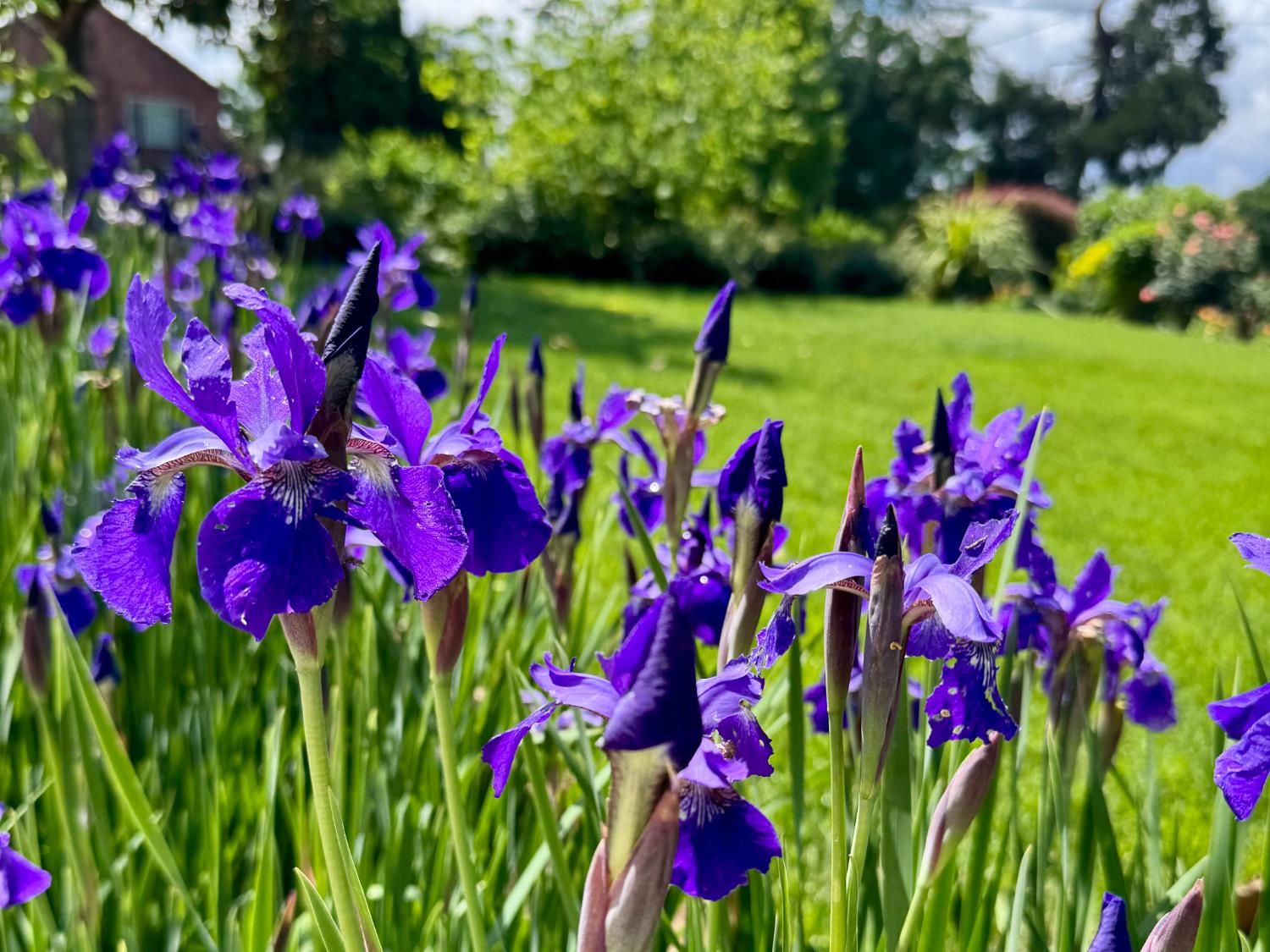 14621 East 8 Mile Road Linden, CA 95236 - Photo 10 of 38