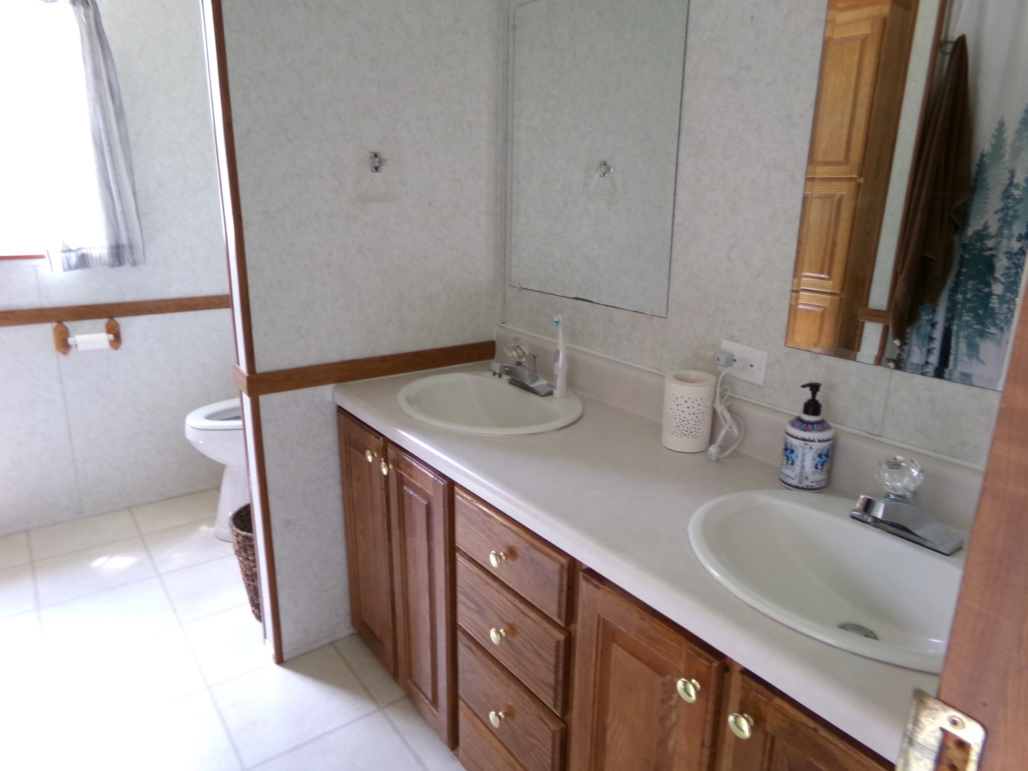 258 Paul Thompson Road Bethpage, TN 37022 - Photo 14 of 23 a bathroom with a sink a toilet and a mirror
