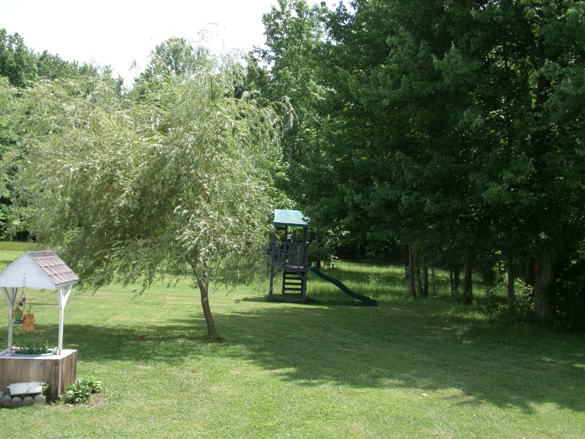 258 Paul Thompson Road Bethpage, TN 37022 - Photo 21 of 23 a green field with lots of trees