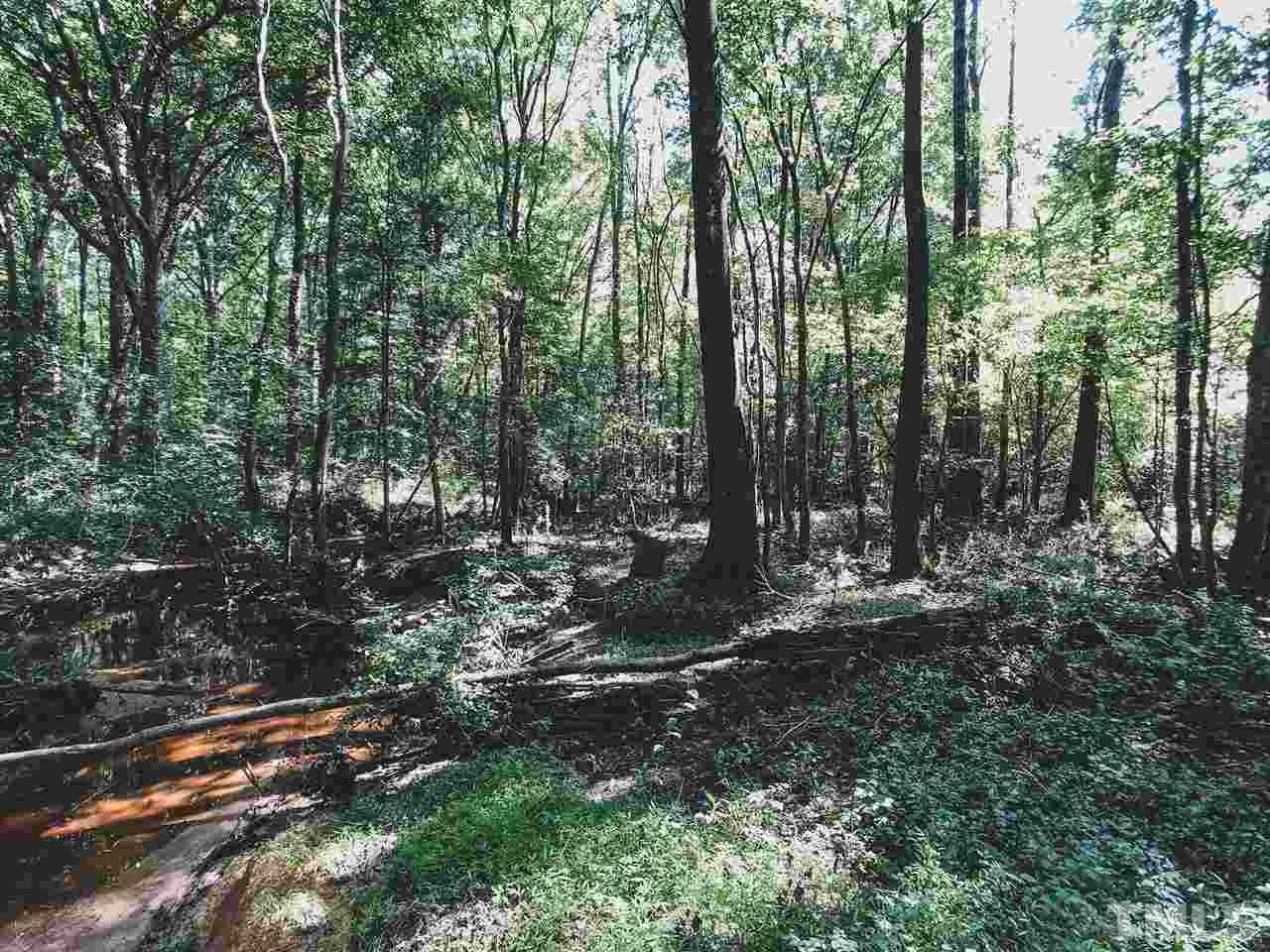 30.2-ac Bryantown Road Spring Hope, NC 27882 - Photo 1 of 19