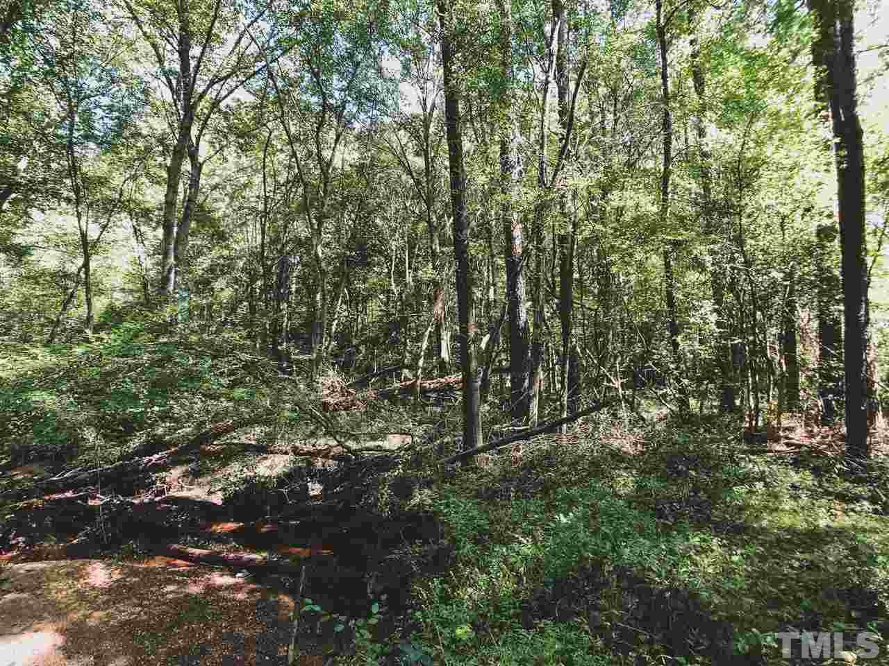 30.2-ac Bryantown Road Spring Hope, NC 27882 - Photo 2 of 19