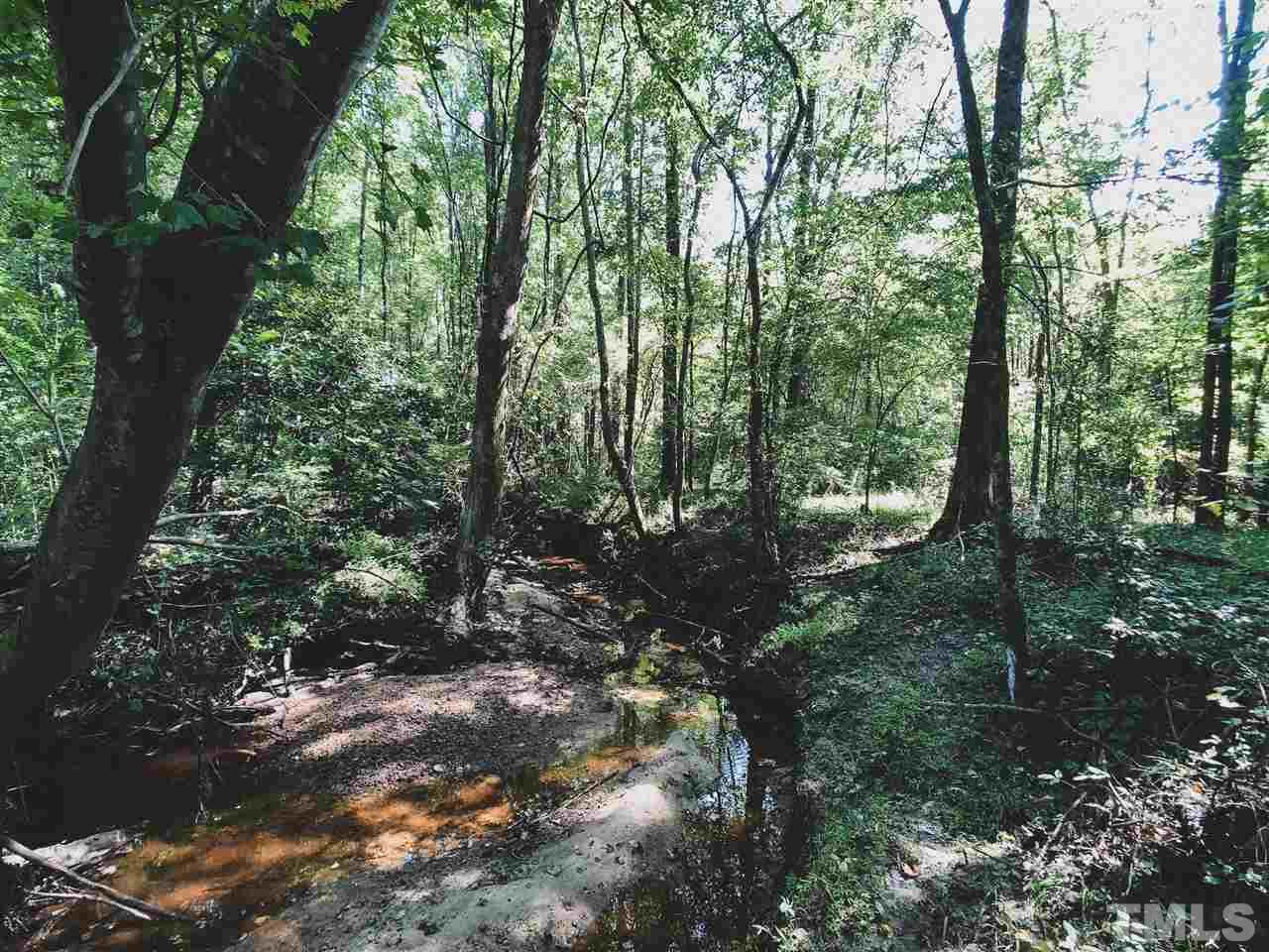 30.2-ac Bryantown Road Spring Hope, NC 27882 - Photo 3 of 19