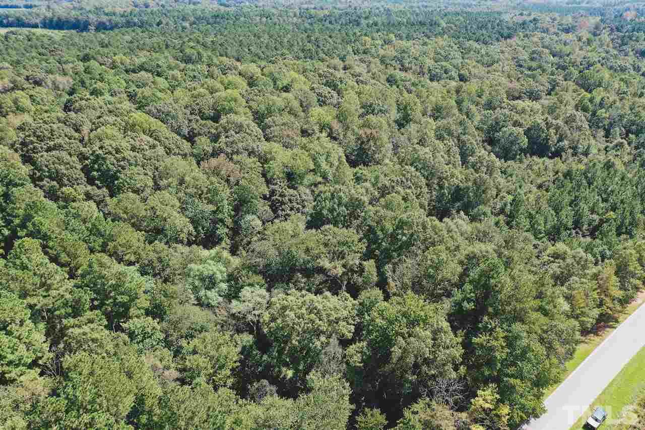 30.2-ac Bryantown Road Spring Hope, NC 27882 - Photo 5 of 19