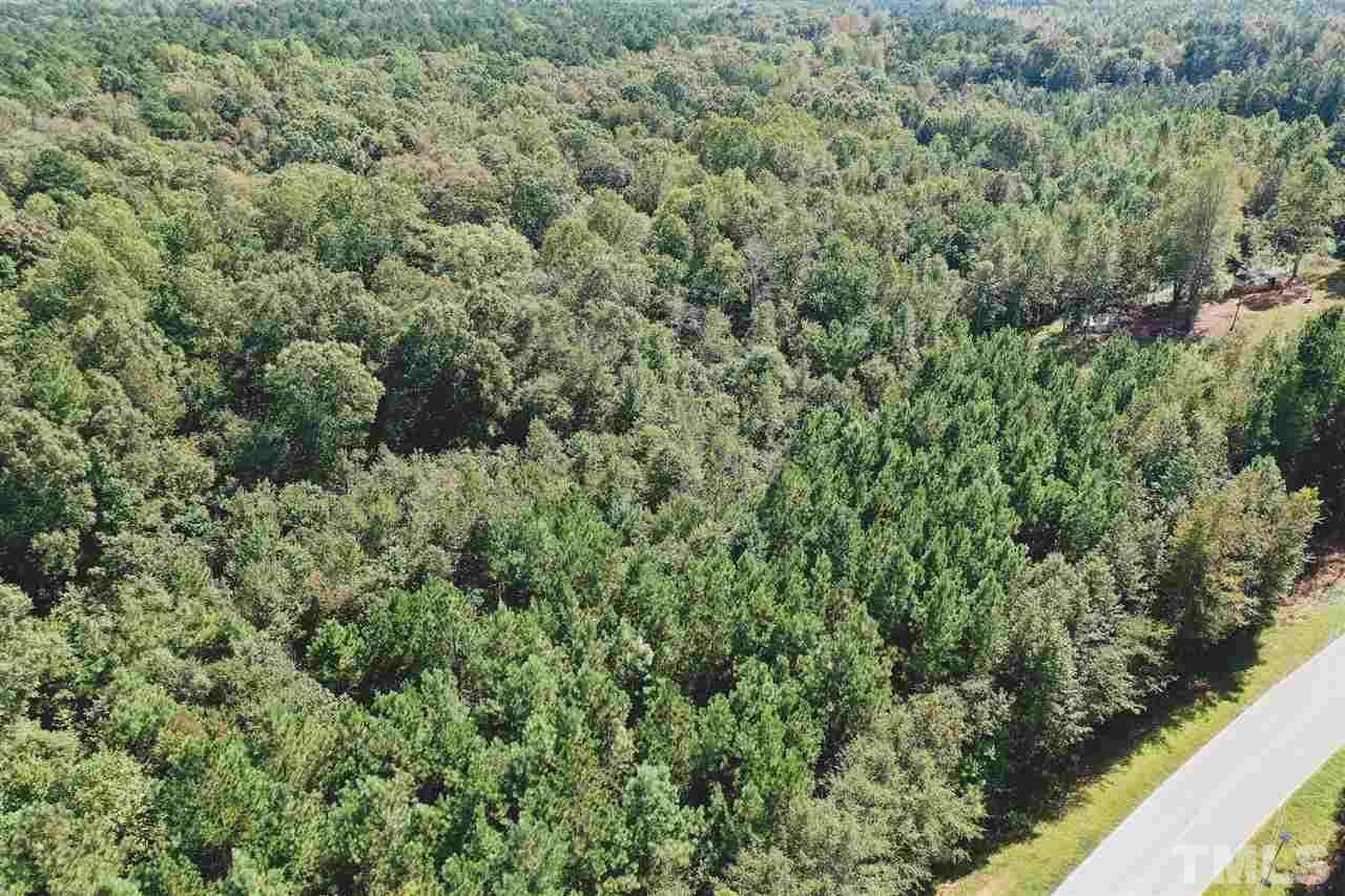 30.2-ac Bryantown Road Spring Hope, NC 27882 - Photo 6 of 19