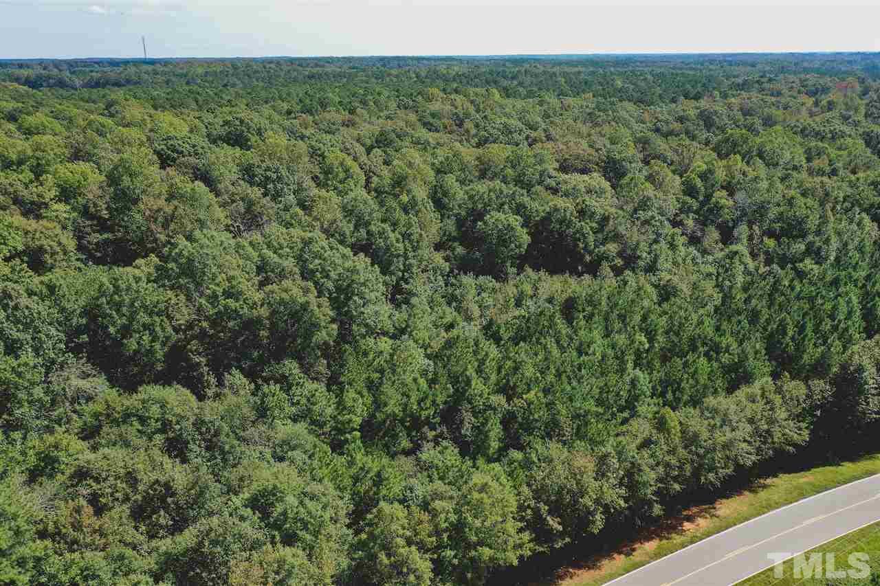 30.2-ac Bryantown Road Spring Hope, NC 27882 - Photo 7 of 19