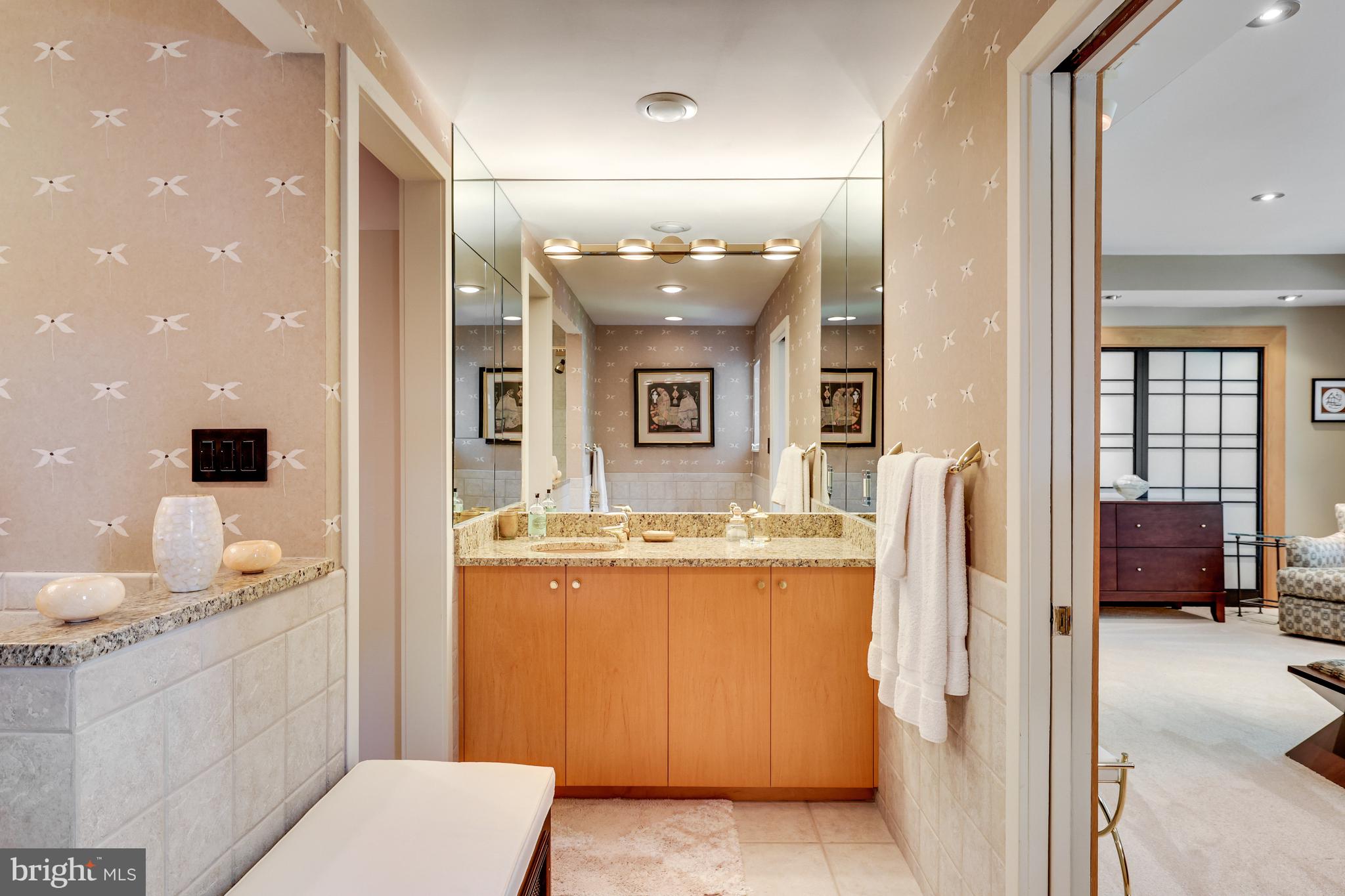 2202 Spinnaker Court Reston, VA 20191 - Photo 34 of 137 There is a large walk-in closet as well!