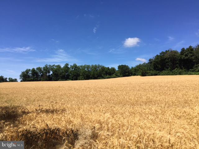 Bachmans Valley Road Westminster, MD 21157 - Photo 1 of 2 Front field where well is drilled