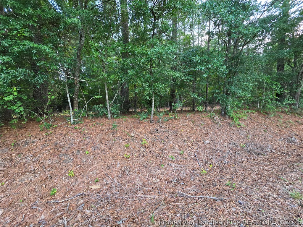 0 Eastman Road Southern Pines, NC 28387 - Photo 7 of 10