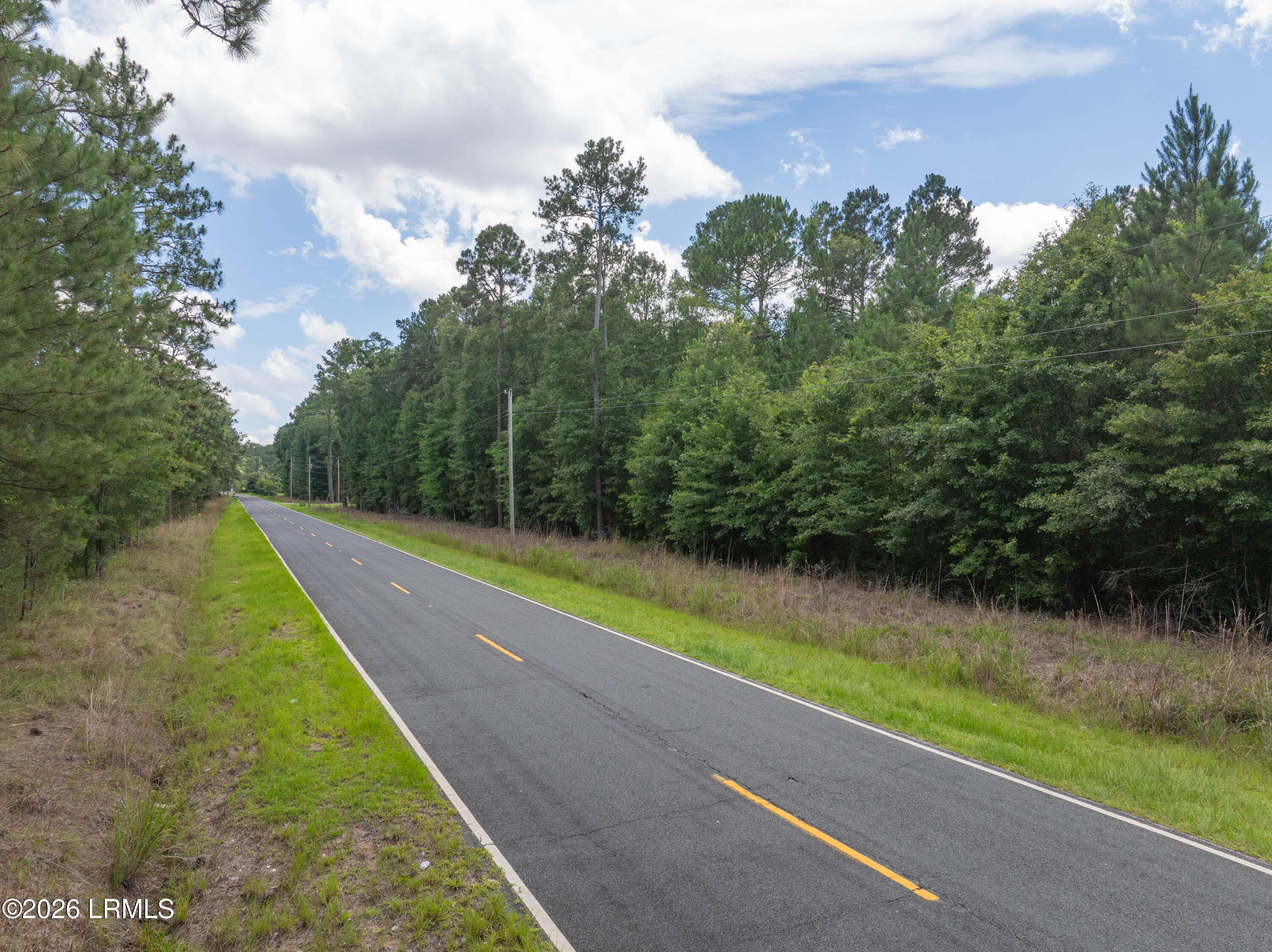 Tbd Purrysburg Road Hardeeville, SC 29927 - Photo 3 of 19 Purrysburg Land-2