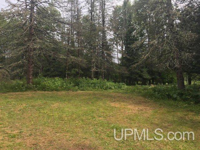 1810 Iron Lake Road Iron River, MI 49935 - Photo 25 of 32