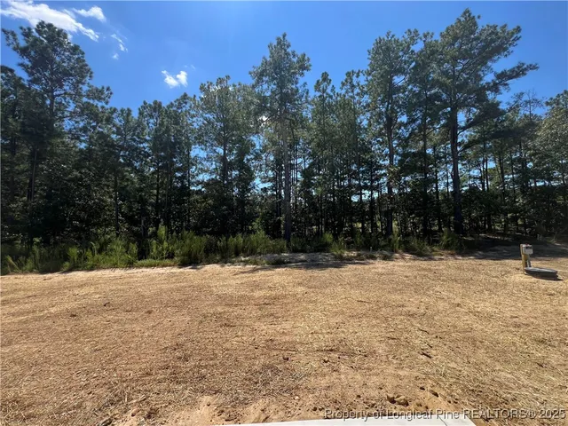 a street view covered with snow