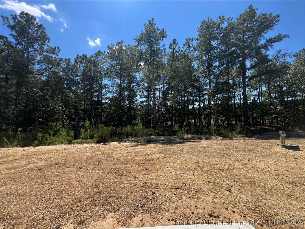528 Traveller Way Raeford, NC 28376 - Photo 21 of 23 a street view covered with snow