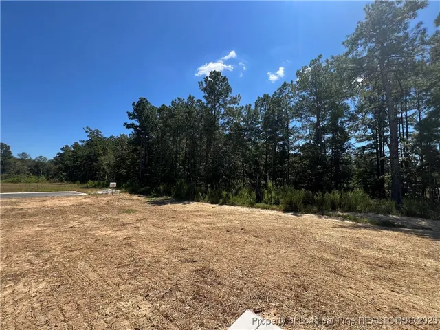 a view of outdoor space with green space