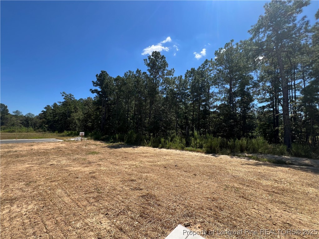 528 Traveller Way Raeford, NC 28376 - Photo 22 of 23 a view of outdoor space with green space