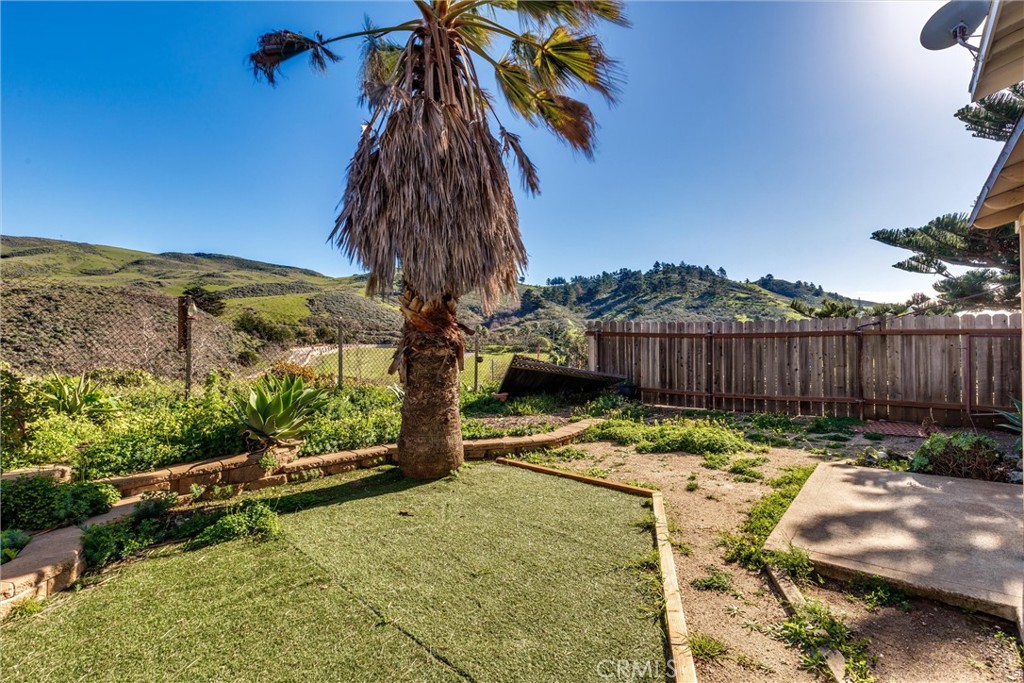 2023 Circle Cayucos, CA 93430 - Photo 34 of 44 a view of a backyard with a tree