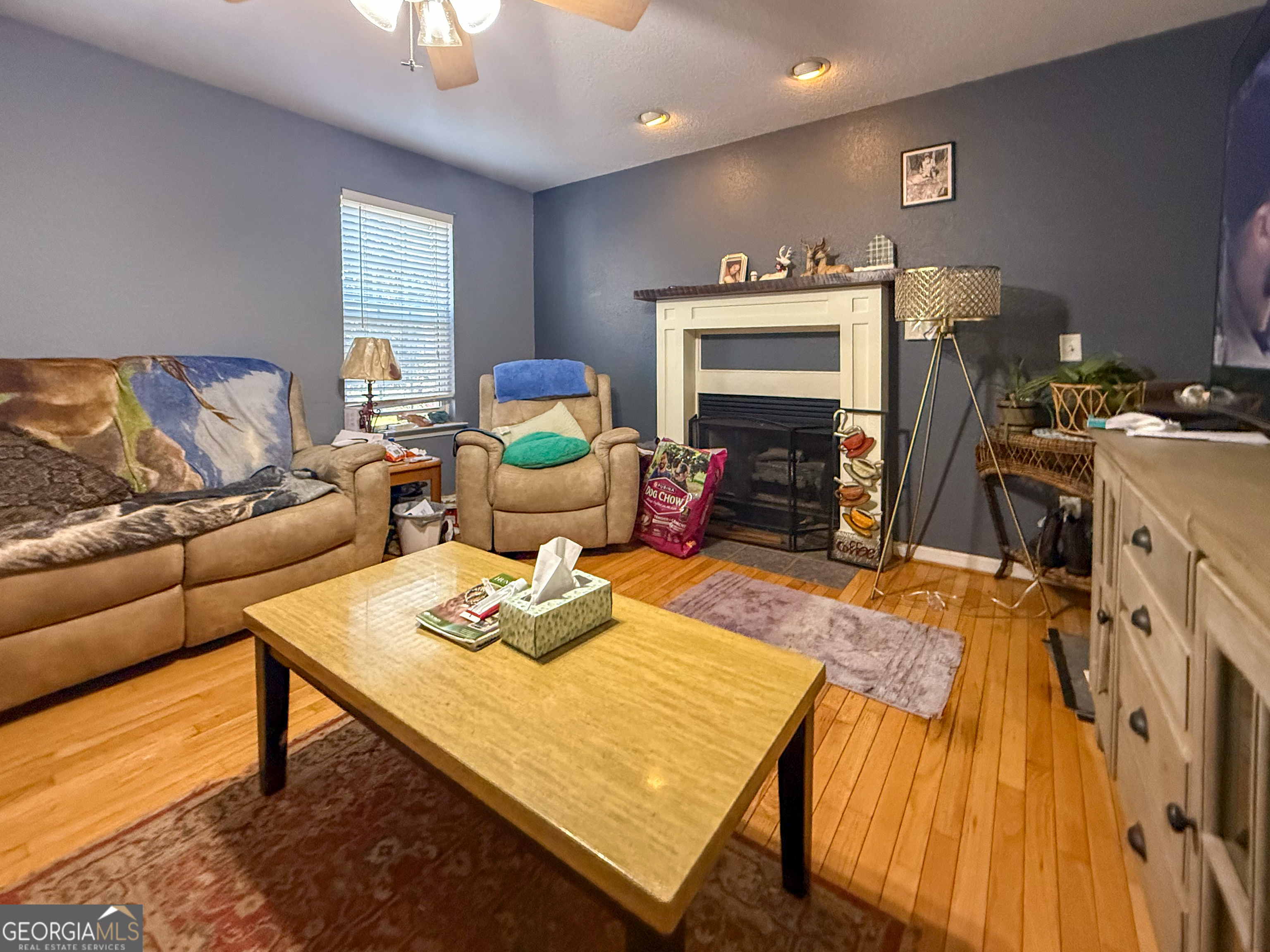 70 Greenview Court Cleveland, GA 30528 - Photo 3 of 20