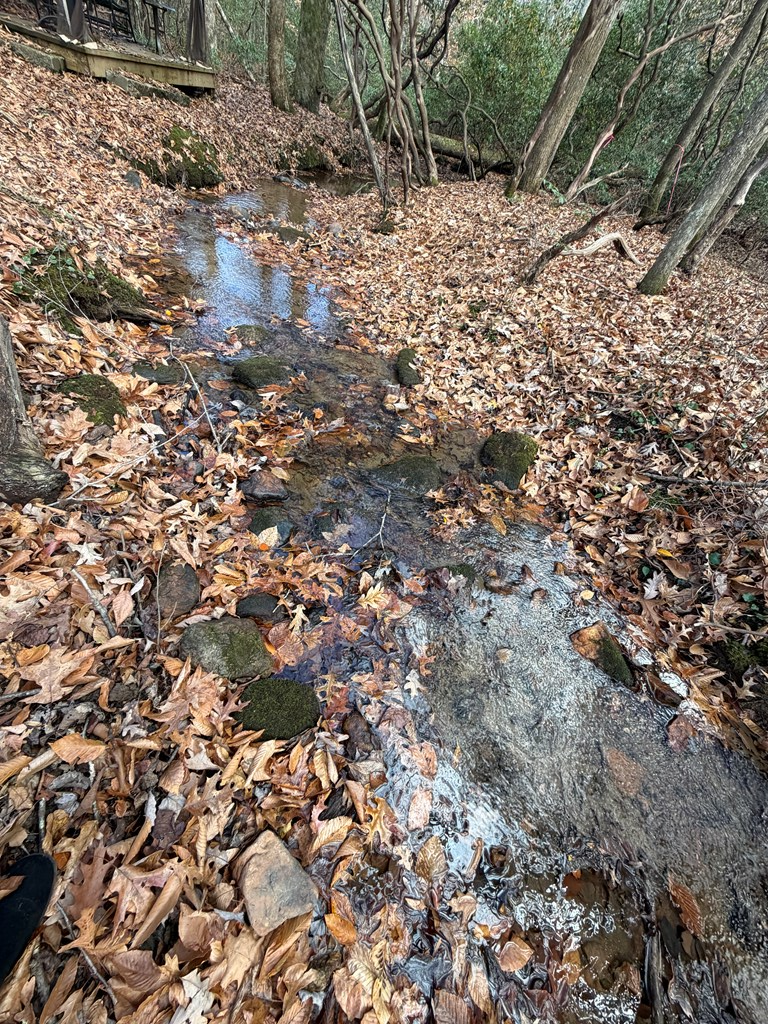 Lot A Mangum's Trail Blue Ridge, GA 30513 - Photo 13 of 94