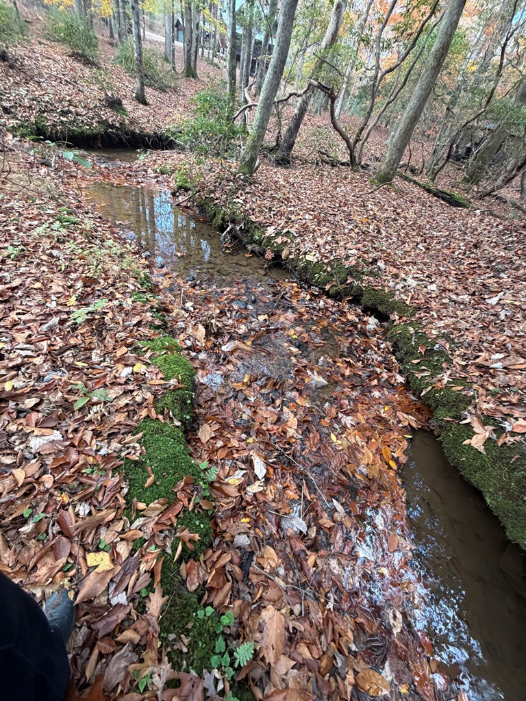 Lot A Mangum's Trail Blue Ridge, GA 30513 - Photo 21 of 94