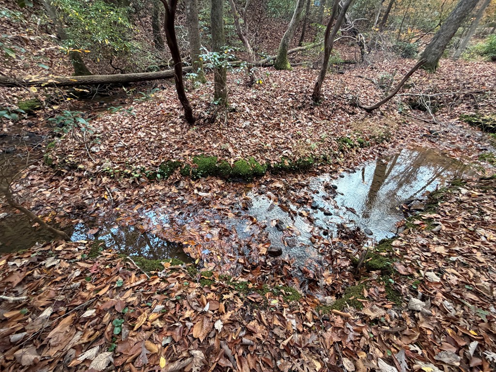 Lot A Mangum's Trail Blue Ridge, GA 30513 - Photo 31 of 94