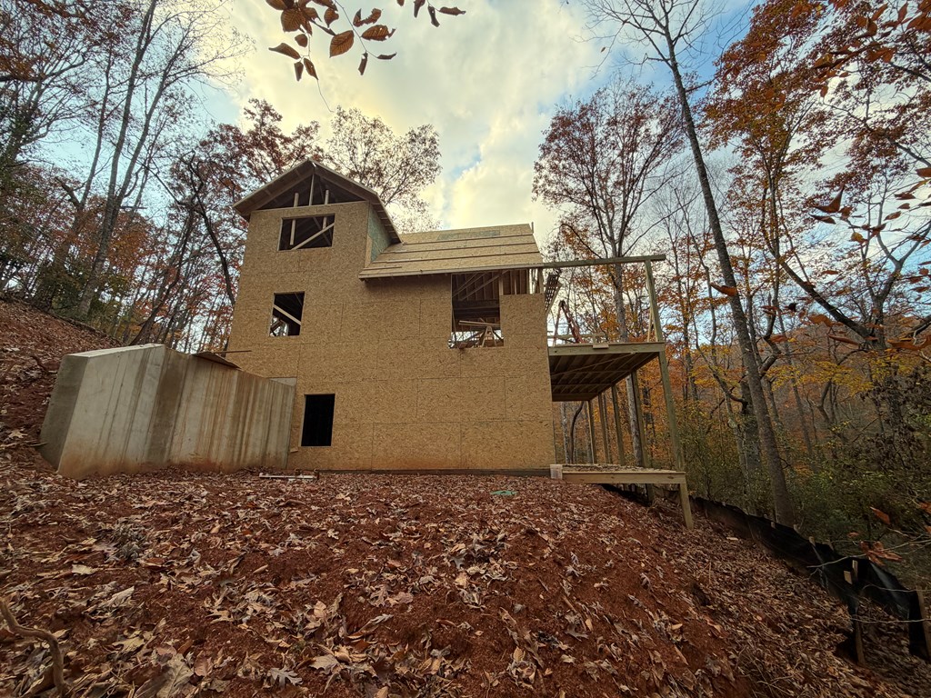 Lot A Mangum's Trail Blue Ridge, GA 30513 - Photo 35 of 94