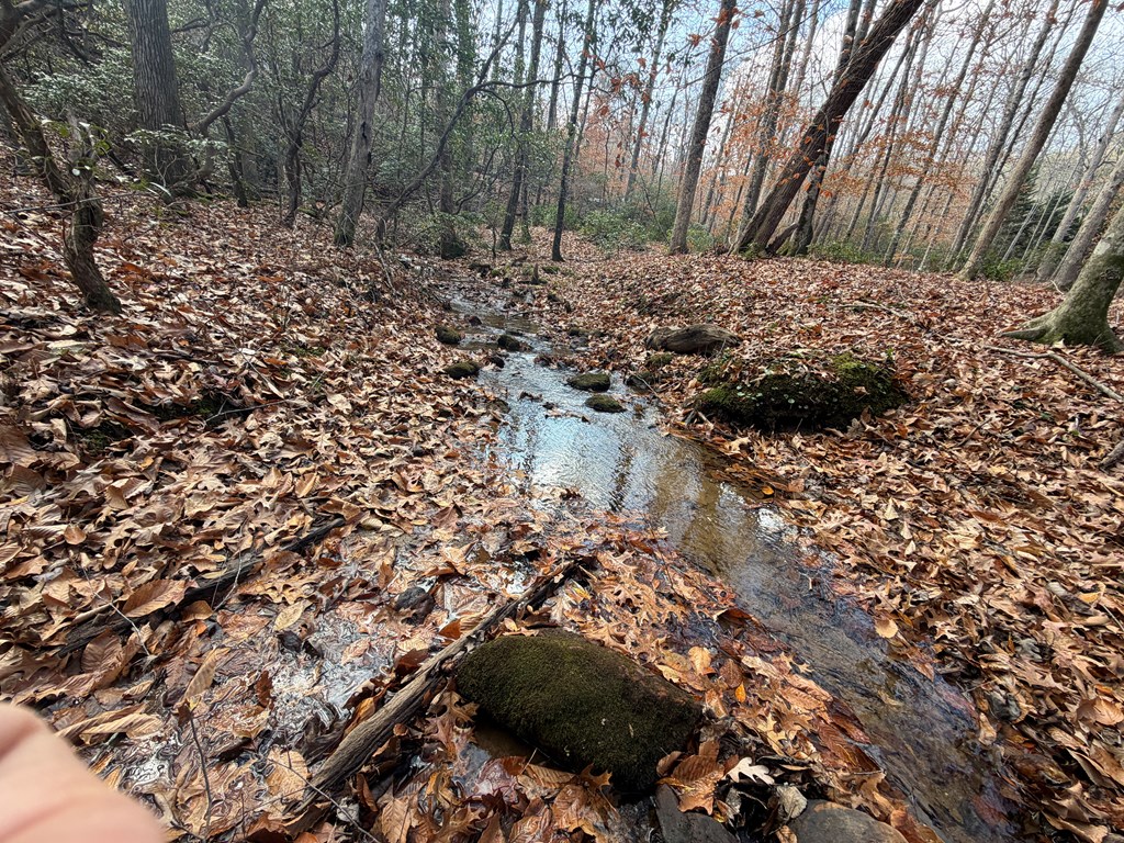 Lot A Mangum's Trail Blue Ridge, GA 30513 - Photo 36 of 94