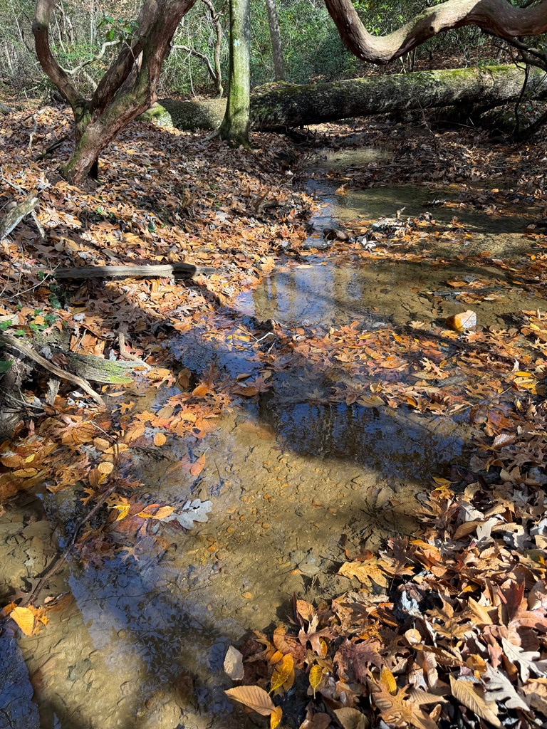 Lot A Mangum's Trail Blue Ridge, GA 30513 - Photo 38 of 94